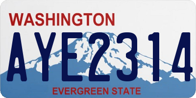 WA license plate AYE2314