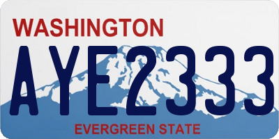 WA license plate AYE2333