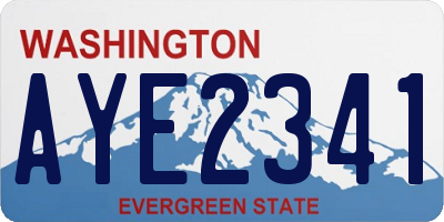 WA license plate AYE2341