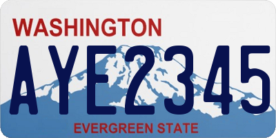 WA license plate AYE2345