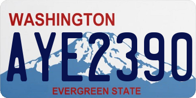 WA license plate AYE2390