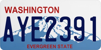 WA license plate AYE2391