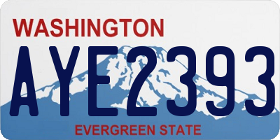 WA license plate AYE2393