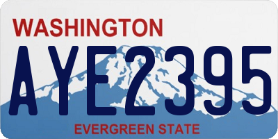 WA license plate AYE2395