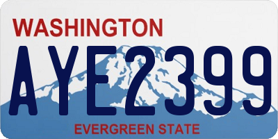 WA license plate AYE2399