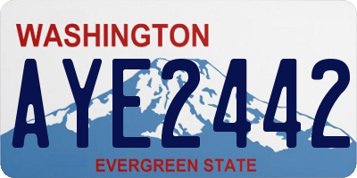 WA license plate AYE2442