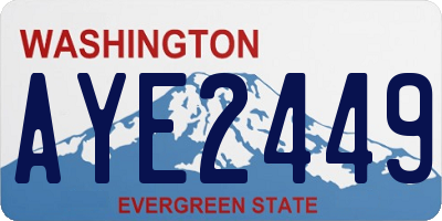 WA license plate AYE2449