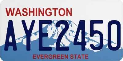 WA license plate AYE2450