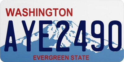 WA license plate AYE2490