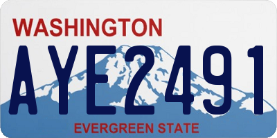 WA license plate AYE2491
