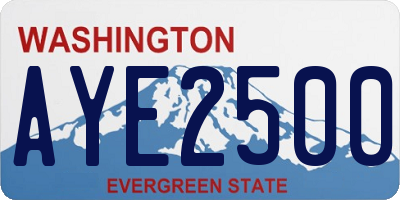 WA license plate AYE2500