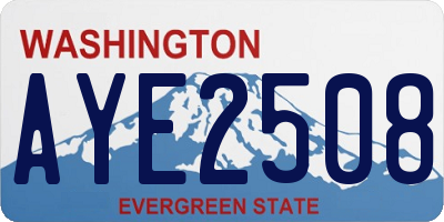 WA license plate AYE2508