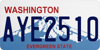 WA license plate AYE2510