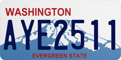 WA license plate AYE2511