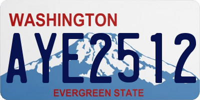 WA license plate AYE2512