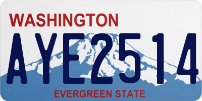 WA license plate AYE2514