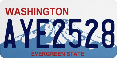 WA license plate AYE2528