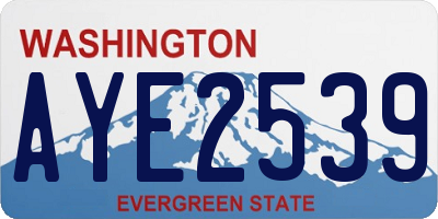 WA license plate AYE2539