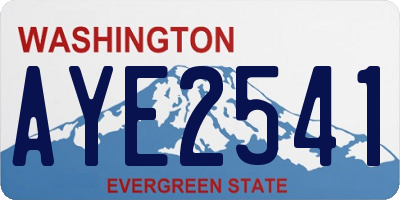 WA license plate AYE2541