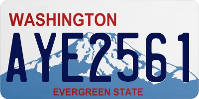 WA license plate AYE2561