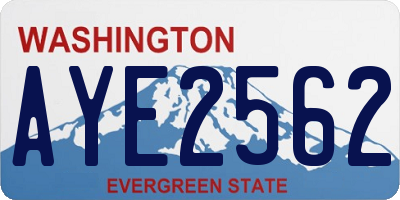 WA license plate AYE2562