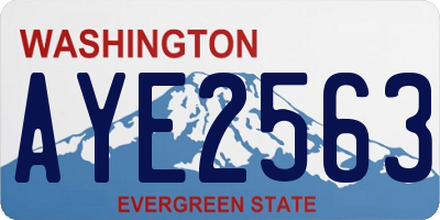 WA license plate AYE2563