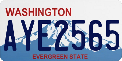 WA license plate AYE2565
