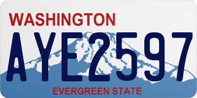 WA license plate AYE2597