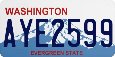 WA license plate AYE2599