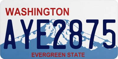 WA license plate AYE2875
