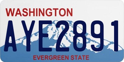 WA license plate AYE2891
