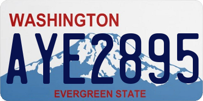 WA license plate AYE2895