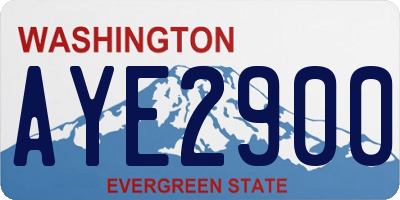 WA license plate AYE2900