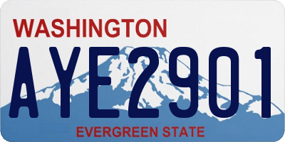 WA license plate AYE2901