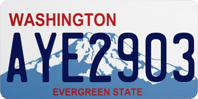 WA license plate AYE2903