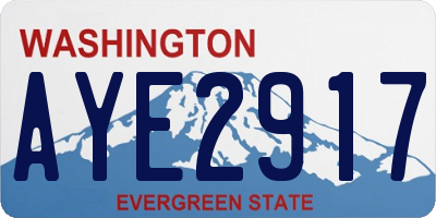 WA license plate AYE2917