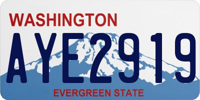 WA license plate AYE2919