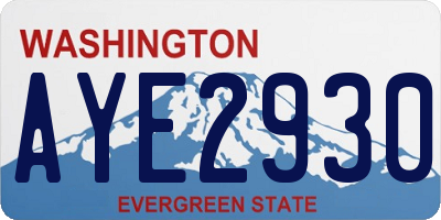 WA license plate AYE2930