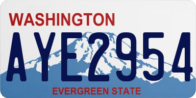 WA license plate AYE2954