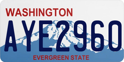 WA license plate AYE2960