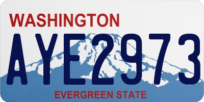 WA license plate AYE2973