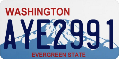 WA license plate AYE2991