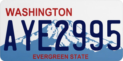 WA license plate AYE2995