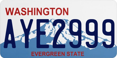 WA license plate AYE2999