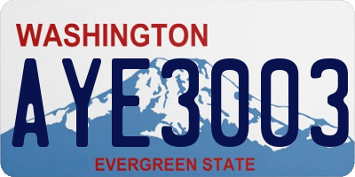 WA license plate AYE3003