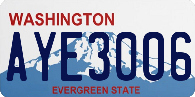 WA license plate AYE3006