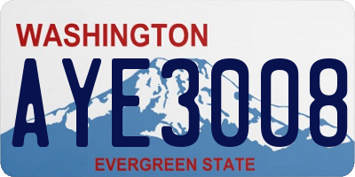 WA license plate AYE3008
