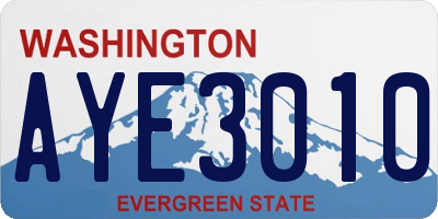 WA license plate AYE3010