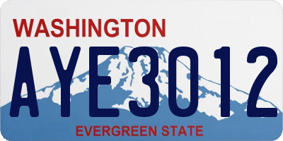 WA license plate AYE3012