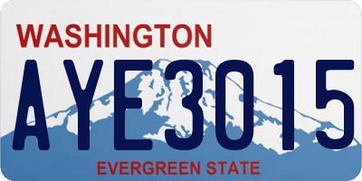 WA license plate AYE3015